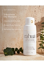 Voluminous Dry Shampoo - thumbnail 9