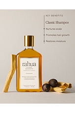 Classic Shampoo - thumbnail 6