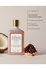 Enchanted Island Shampoo - thumbnail 8