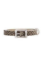 Remi Belt - thumbnail 6