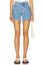 Mesa Shorts