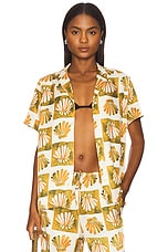 Theis Top