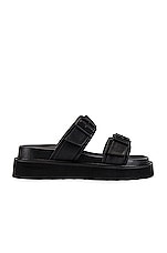Arlo Sandal
