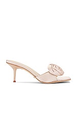 Rosette Mule
