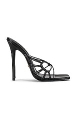 Alina Heel