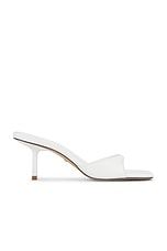 x Emma Rose Jocey Mule