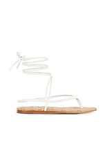 Aditi Sandal