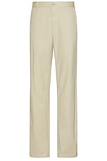 Cotton Chino Ivy Pant