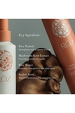 RŌZ Hair The Volume Duo - thumbnail 8
