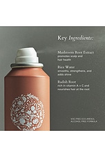 Roz Hair Root Lift Spray - thumbnail 6
