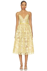 Eulalia Lace Dress - thumbnail 4