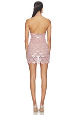 Ninette Embroidered Mini Dress - thumbnail 6