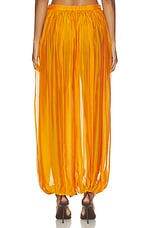 Evolet Chiffon Pant - thumbnail 7