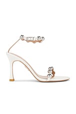 Amata Heel