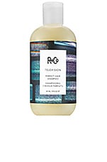 Product image of R+Co R+Co Television Perfect Hair Shampoo. Click to view full details
