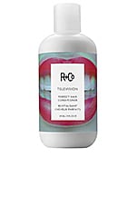 Product image of R+Co R+Co Television Perfect Hair Conditioner. Click to view full details