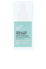 Perilla Leaf Pore Serum - thumbnail 6