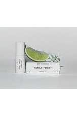 Kerala Forest Fragrance Oil - thumbnail 6