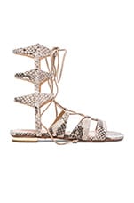 Product image of Schutz Erlina Sandal. Click to view full details