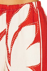 Arlette Palazzo Pant - thumbnail 9