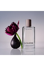 Black Rose & Oud Body Mist - thumbnail 7