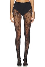 Wild Flower Lace Mesh Tights - thumbnail 4