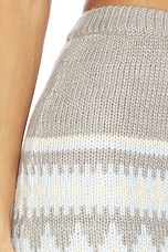 Sierra Mini Skirt - thumbnail 8