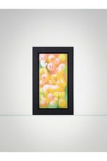 Monkeyflower - thumbnail 6
