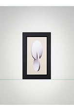 Moonmilk - thumbnail 6