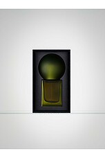 Pine - thumbnail 5