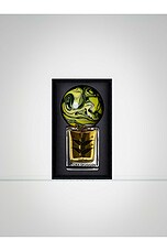 Silphium - thumbnail 5