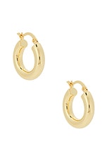 Dominique Small Hoop