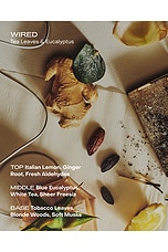 Wired: The Body Exfoliant - thumbnail 5