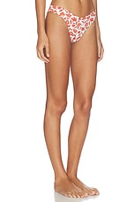 Chloe Shaped Brief Bikini Bottom - thumbnail 5