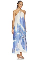 Rumi Maxi Dress - thumbnail 5