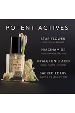 Star Flower Niacinamide Serum - thumbnail 5