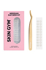 Meridian Ear Seed Kit - thumbnail 3