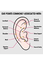 Meridian Ear Seed Kit - thumbnail 5