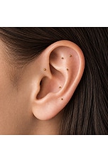 Meridian Ear Seed Kit - thumbnail 6