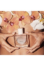 Nude Skin Eau De Parfum - thumbnail 10
