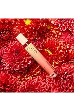Sunkissed Dahlia Roller Ball - thumbnail 7