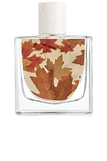 Fall Cashmere Eau de Parfum - thumbnail 5