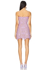 Rory Lace Dress - thumbnail 6