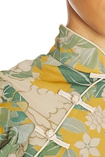 Stella Chiffon Dress - thumbnail 7