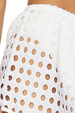 The Remi Short - thumbnail 9