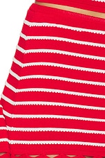 The Celeste Skirt - thumbnail 9