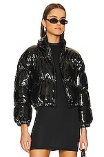 Product image of Steve Madden Eden Jacket. Click to view full details