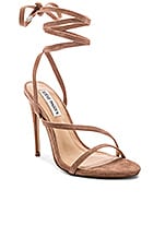 steve madden amberlyn strappy wrap sandal