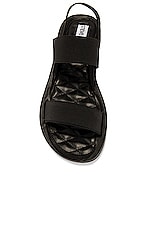 steve madden rafa