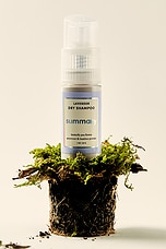 Dry Shampoo - thumbnail 8